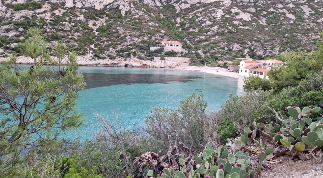 Pointe Rouge A 2Mn De La Plage - Avec Petite Vue Mer Marseille Eksteriør billede